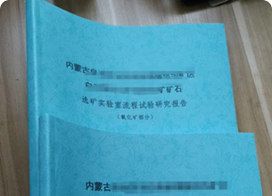 祝贺内蒙某地金矿线上评审会完美通过！