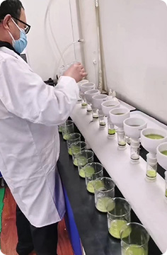 矿石化验分析检测