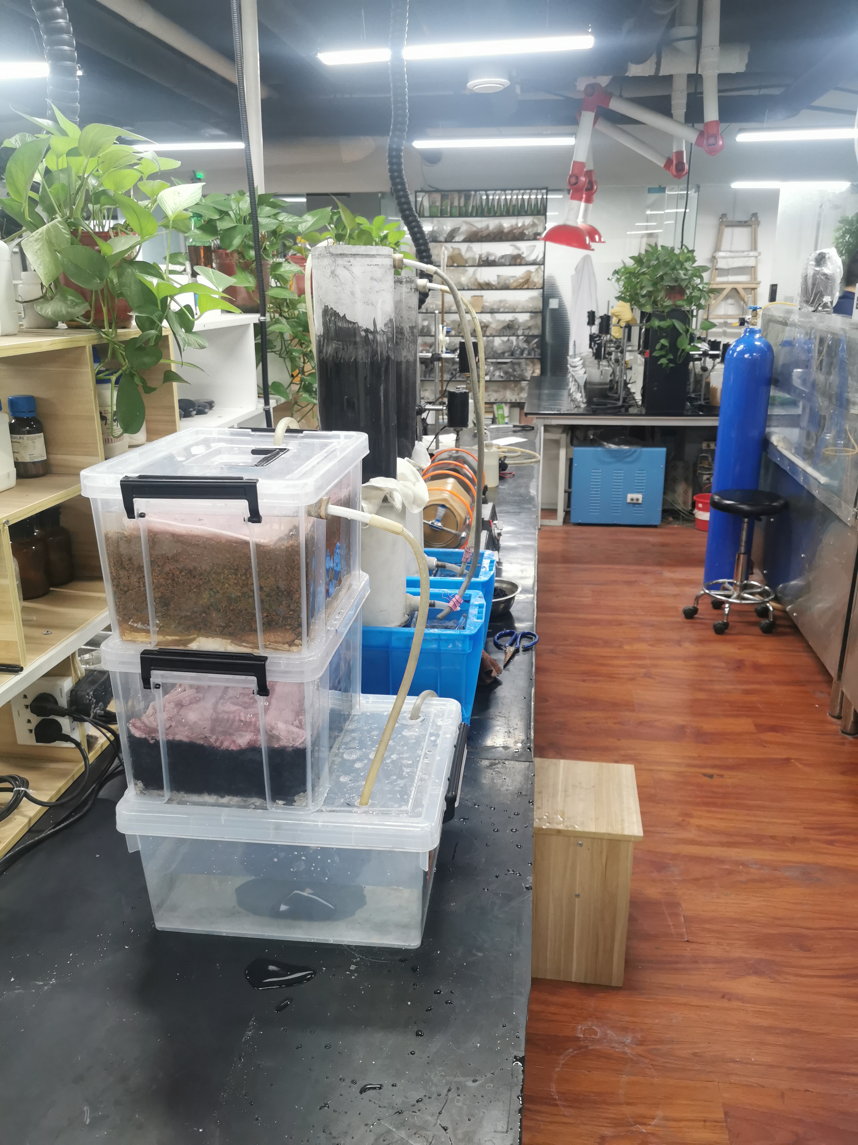 实验室筹建及化验员技术培训